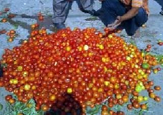 Tomato Trouble producer in the district | जिल्ह्यातील टोमॅटो उत्पादक अडचणीत Tomato Trouble producer in the district | जिल्ह्यातील टोमॅटो उत्पादक अडचणीत