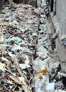 Cleanliness in the metropolis | महानगरात स्वच्छतेचा बोजवारा Cleanliness in the metropolis | महानगरात स्वच्छतेचा बोजवारा