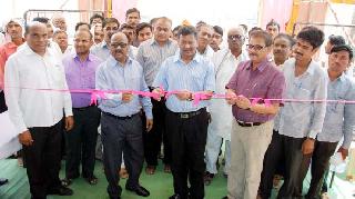 70 stalls at the Festival of Cereals | धान्य महोत्सवात ७० स्टॉल