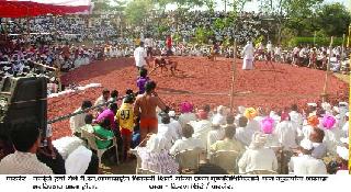 Chatting knocks in the wrestling field | कुस्ती मैदानात रंगला चितपट कुस्त्यांचा डाव