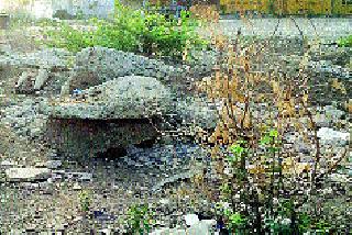 Pondicherry Park has been closed for 11 years | पं.दीनदयाळ उद्यान ११ वर्षांपासून बंद Pondicherry Park has been closed for 11 years | पं.दीनदयाळ उद्यान ११ वर्षांपासून बंद