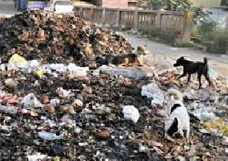 Will Pune go 'into the water'? | पुणे जाणार ‘पाण्यात’? Will Pune go 'into the water'? | पुणे जाणार ‘पाण्यात’?