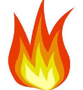 Thapartawadi blaze damages 21 lakhs | थोपटेवाडीतील आगीत २१ लाखांचे नुकसान Thapartawadi blaze damages 21 lakhs | थोपटेवाडीतील आगीत २१ लाखांचे नुकसान
