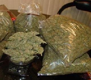 Stop the sale of ganja | गांजा विक्रीचा अड्डा बंद Stop the sale of ganja | गांजा विक्रीचा अड्डा बंद