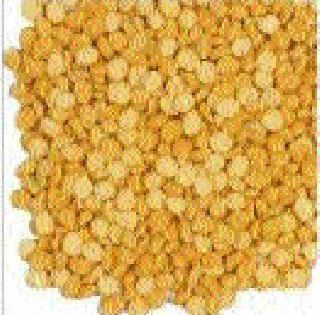 Ten thousand quintals of every one of the farmers get money | दहा हजार क्विंटल हरभर्याचे शेतकर्यांना मिळेनात पैसे Ten thousand quintals of every one of the farmers get money | दहा हजार क्विंटल हरभर्याचे शेतकर्यांना मिळेनात पैसे