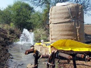 Arranged water for animals | जनावरांसाठी केली पाण्याची व्यवस्था
