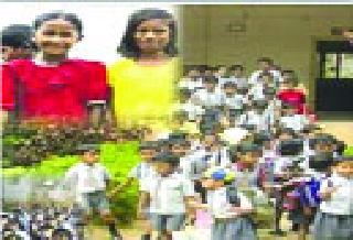 School admission change changed | शाळा प्रवेशाचा ट्रेंड बदलला