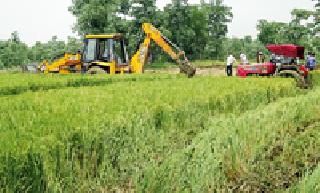 The forest department's bulldozer runs on the feet of the farmers | शेतकर्यांच्या धानावर चालला वन विभागाचा बुलडोजर The forest department's bulldozer runs on the feet of the farmers | शेतकर्यांच्या धानावर चालला वन विभागाचा बुलडोजर