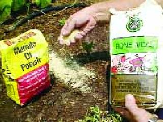15 lakhs ban on manure sales | १५ लाखांच्या खत विक्रीला बंदी