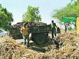 Demand for increased farming in the rural areas | ग्रामीण भागात वाढली शेणखताची मागणी Demand for increased farming in the rural areas | ग्रामीण भागात वाढली शेणखताची मागणी