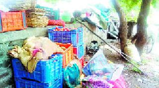 Third consecutive encroachment removed | सलग तिसर्यांदा अतिक्रमण काढले Third consecutive encroachment removed | सलग तिसर्यांदा अतिक्रमण काढले