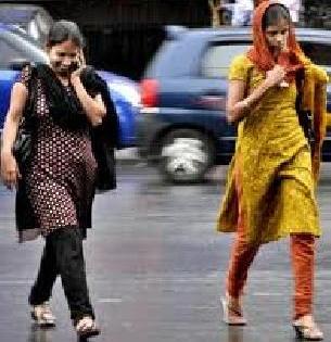 मुसळधार : रस्ते पाण्याखाली, झाडे पडलीझोडपले