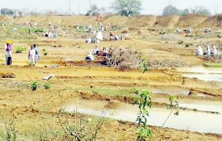 Millions of rupees of the Magarrooh scheme were stuck | मग्रारोह योजनेचे लाखो रुपयांचे चुकारे अडले Millions of rupees of the Magarrooh scheme were stuck | मग्रारोह योजनेचे लाखो रुपयांचे चुकारे अडले