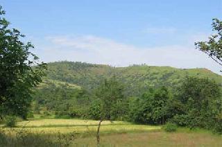 Promotion of forest committees | वन समित्यांना प्रोत्साहन Promotion of forest committees | वन समित्यांना प्रोत्साहन