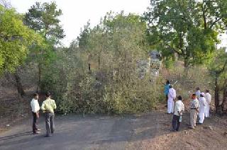 Traffic jam due to collapsing on the road | रस्त्यावर झाड कोसळल्याने वाहतूक ठप्प Traffic jam due to collapsing on the road | रस्त्यावर झाड कोसळल्याने वाहतूक ठप्प