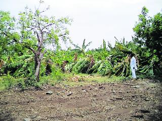 The wind storm receded | वादळी पावसाने पुन्हा झोडपले