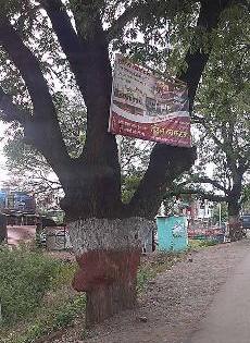 Promotional trees | जाहिरातबाजी झाडांच्या मुळावर