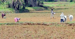 Preparation for Kharif: | खरिपाची तयारी : Preparation for Kharif: | खरिपाची तयारी :