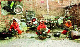 Godavari gave employment to tribal women | गोडंबीने दिला आदिवासी महिलांना रोजगार