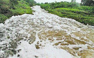 Daily 90 MLD of contaminated water in Jaisewada | दररोज ९० एमएलडी दूषित पाणी जायकवाडीत