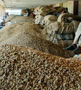 Farmers stop by throwing down the price of groundnut | भुईमुगाचे भाव पाडून शेतकर्‍यांची कोंडी