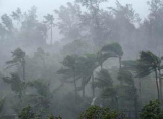 Monsoon lapsed in Kerala! | मान्सून केरळात दाखल!