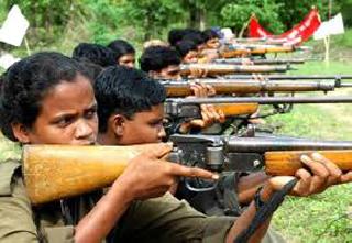 Surrender of naxalites for offspring | अपत्यप्राप्तीसाठीच नक्षली दाम्पत्यांचे आत्मसमर्पण