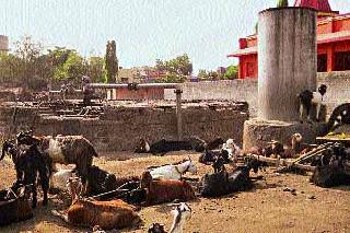 Water for three days by tanker! | तीन दिवसाआड टँकरद्वारे पाणी!