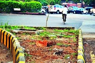 ... finally broke the dried tree dangerously | ...अखेर वाळलेला धोकादायक वृक्ष तोडला ... finally broke the dried tree dangerously | ...अखेर वाळलेला धोकादायक वृक्ष तोडला