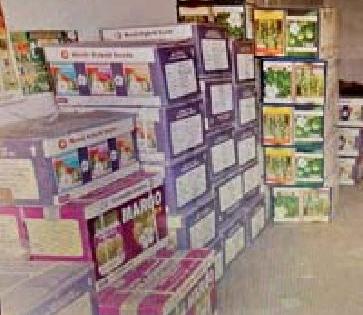 19 lakhs of bogus beet seeds seized | १९ लाखांचे बोगस बीट बियाण्यांचा साठा पकडला 19 lakhs of bogus beet seeds seized | १९ लाखांचे बोगस बीट बियाण्यांचा साठा पकडला