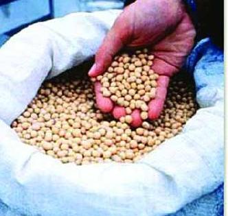 Scarcity of seeds | बियाण्याचा तुटवडा