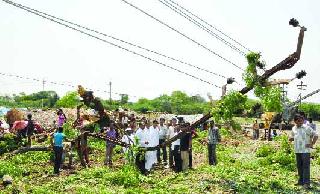 Storm strike, power supply jam | वादळाचा तडाखा, वीजपुरवठा ठप्प