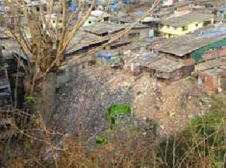 Rain; In Bhaktariyan trouble | पावसाची दडी; भातपेरण्या संकटात