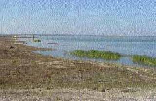 Five percent of useful water storage | पाच टक्के उपयुक्त पाणीसाठा