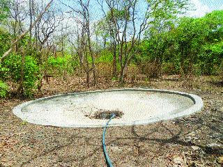 The animals just thirsty ... | प्राणी मात्र तहानलेले...