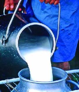 South district's milk collection increases | दक्षिण जिल्ह्याच्या दूध संकलनात वाढ