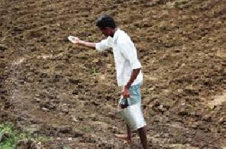 Sowing out of rainy rains | पावसाच्या दडीमुळे पेरण्या खोळंबल्या