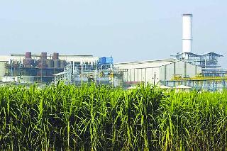 Sugar technicians begin to sweat | साखर तंत्रज्ञांची ससेहोलपट सुरुच