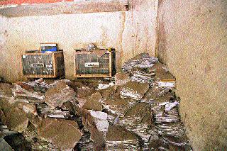 The documents of the RTO office are unfriendly | आरटीओ कार्यालयातील कागदपत्रे पडली बेवारस The documents of the RTO office are unfriendly | आरटीओ कार्यालयातील कागदपत्रे पडली बेवारस