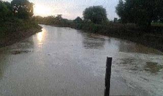 The whole monsoon season | मान्सूनच्या सर्वदूर सरी The whole monsoon season | मान्सूनच्या सर्वदूर सरी