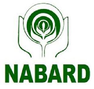Enforcement of NABARD amount: Filing a complaint against | नाबार्डच्या रकमेचा अपहार करणा:याविरुद्ध गुन्हा दाखल Enforcement of NABARD amount: Filing a complaint against | नाबार्डच्या रकमेचा अपहार करणा:याविरुद्ध गुन्हा दाखल