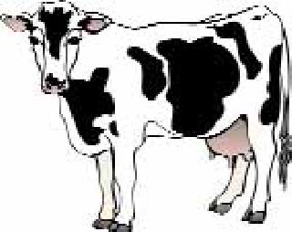 Livestock crisis due to end of fodder | चारा संपल्याने पशुधन संकटात