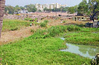 90 lakhs spent on the lotus pond | कमल तलावावर होणार ९० लाख खर्च