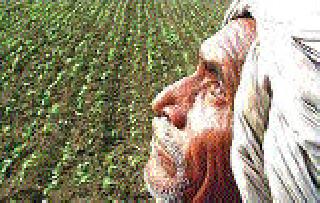 Due to the absence of sowing the sowing is far away | पावसाअभावी पेरण्या लांबल्या Due to the absence of sowing the sowing is far away | पावसाअभावी पेरण्या लांबल्या