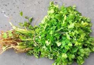 Chopped cilantro | कोंथिंबीर कडाडली Chopped cilantro | कोंथिंबीर कडाडली