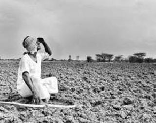 Deer dry; Waiting for rain | मृग कोरडा; पावसाची प्रतीक्षा Deer dry; Waiting for rain | मृग कोरडा; पावसाची प्रतीक्षा