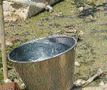 Contaminated water supply in Dehradarwadi | देहेडकरवाडीत दूषित पाण्याचा पुरवठा Contaminated water supply in Dehradarwadi | देहेडकरवाडीत दूषित पाण्याचा पुरवठा