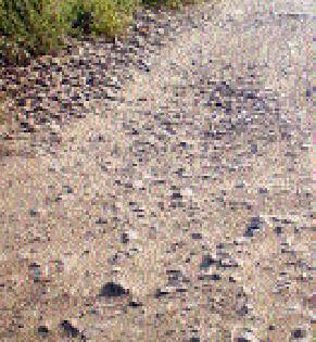 Work on the road of Panand; Fear of farmers | पाणंद रस्त्याचे काम रखडले; शेतकऱ्यांत संताप Work on the road of Panand; Fear of farmers | पाणंद रस्त्याचे काम रखडले; शेतकऱ्यांत संताप