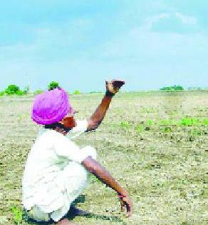 Farmers ready to fill the black mother's oat | काळ्या आईची ओटी भरण्यासाठी शेतकरी सज्ज Farmers ready to fill the black mother's oat | काळ्या आईची ओटी भरण्यासाठी शेतकरी सज्ज