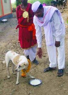 Such a warakari Pandari! | असाही एक वारकरी पंढरीचा!